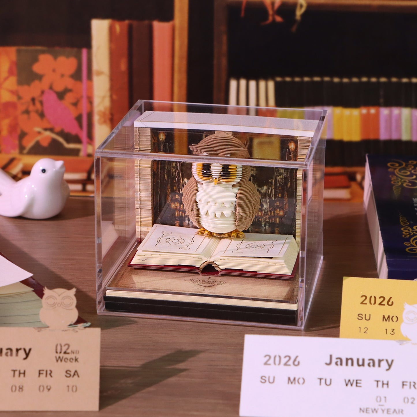 Magic Owl (With Light & Calendar 2026)