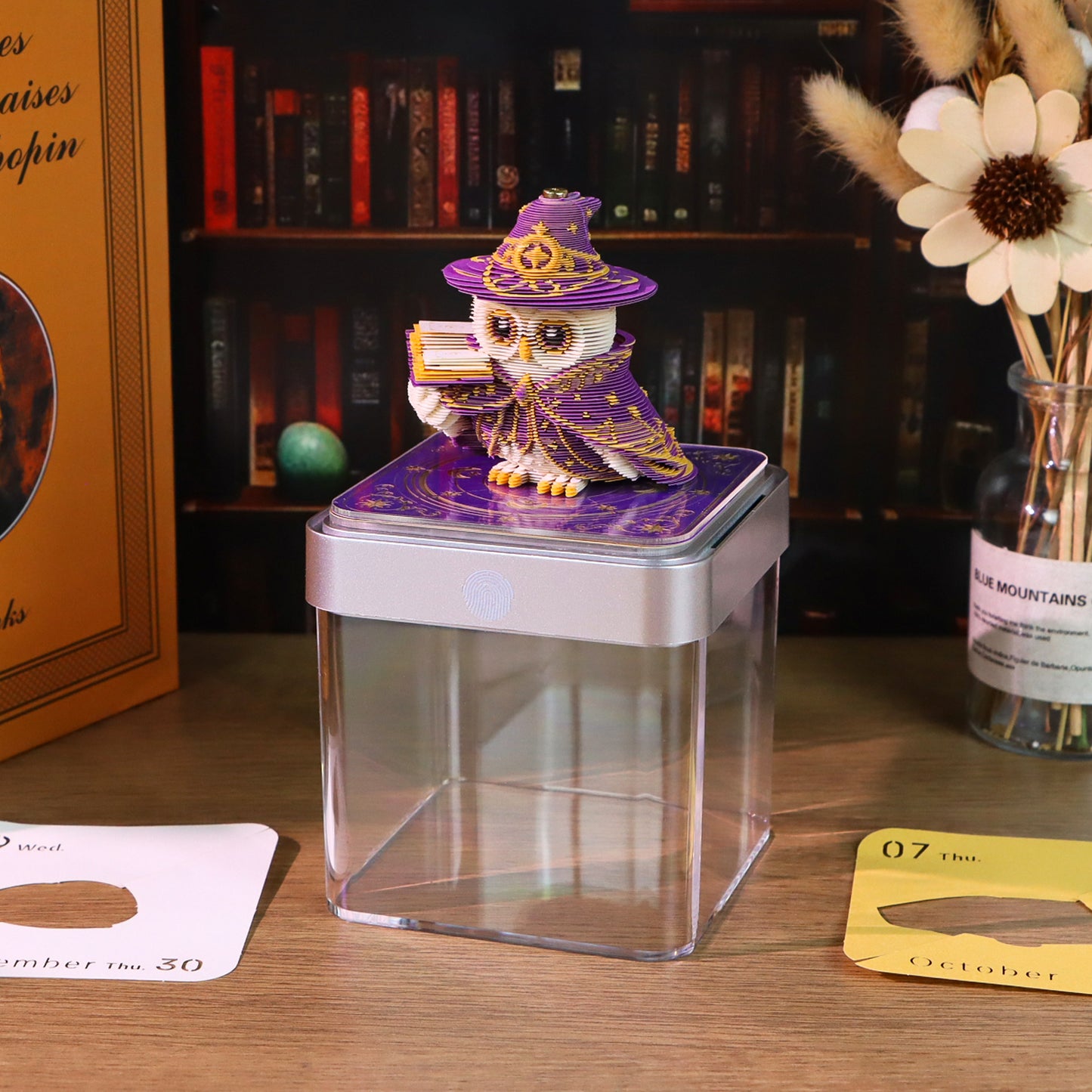 Wizard Owl (With Light & Calendar 2027)